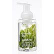 Green Cricket - Summer Foam Hand Wash (300ml)