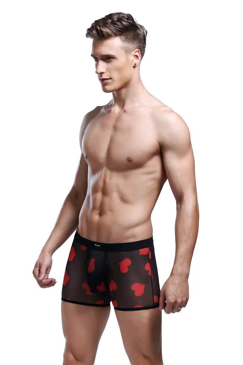 Spandex Mesh Printed Pouch boxer briefs  underwear men