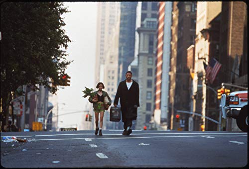 The Professional - DVD (Used)