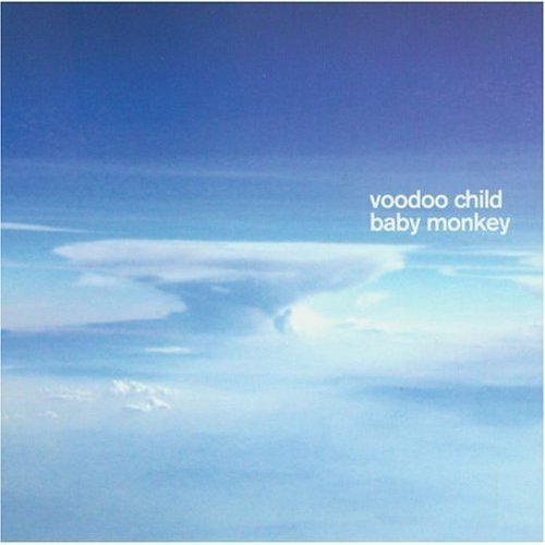 Voodoo Child / Baby Monkey - CD (Used)