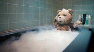 Ted - DVD (Used)