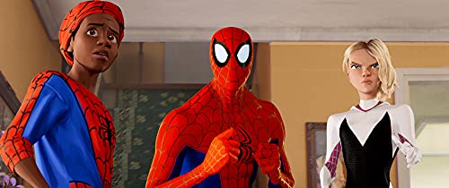 Spider-Man: Into The Spider-verse - DVD (Used)