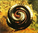 Nine Inch Nails / Closer Pt.1 - CD (Used)