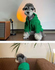Dog Knit Sweater | Pawtega Venetaw Dog Sweater