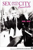 Sex and the City Essentials: Mr. Big - DVD (Used)