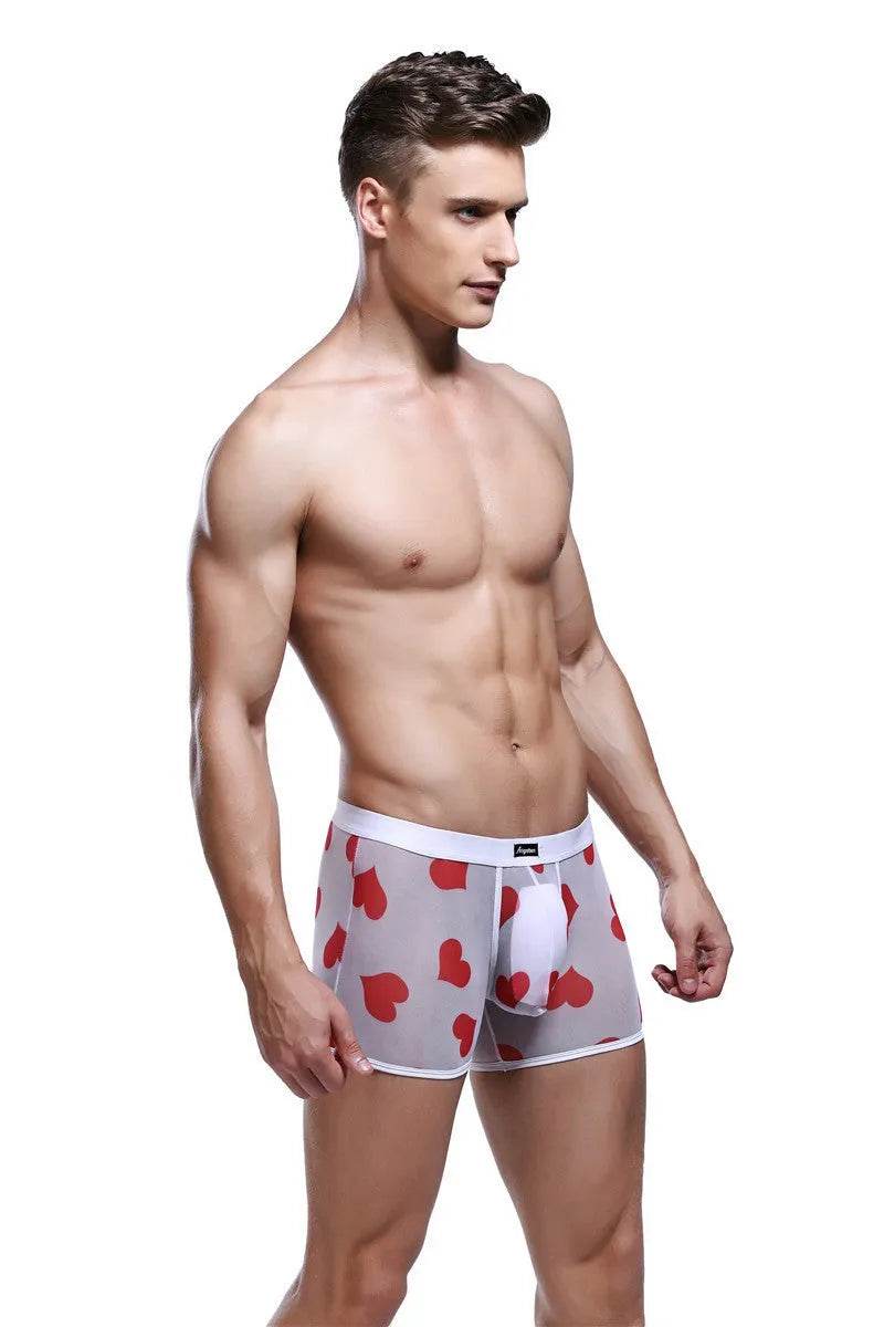 Spandex Mesh Printed Pouch boxer briefs  underwear men
