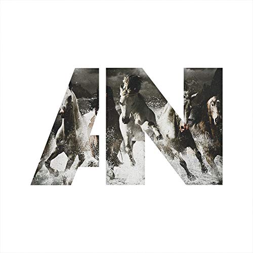 Awolnation / Run - CD