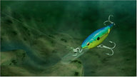 Rapala Tournament Fishing