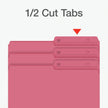 Pendaflex File Folders, 1/2 Cut Tab, Letter Size, Pink, Durable Paper Stock, 100/Box, Ideal for Office/Home/School File Organization, Made in Canada 🍁 All In One Marketplace Canada