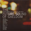The Future Sounds Of Gaeldom
