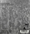 2006-2009: Staring Down the Brilliant Dream