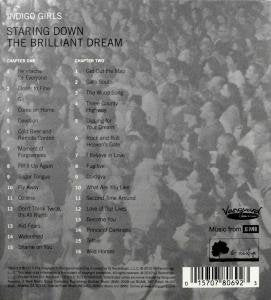 2006-2009: Staring Down the Brilliant Dream