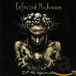 Infected Mushroom / I'm the Supervisor - CD (Used)