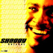 Shaggy / Hot Shot - CD (Used)