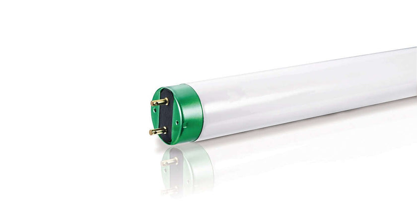 Philips 454512 Fluorescent 32W T8 48-Inch Daylight 10Pk 🍁 All In One Marketplace Canada