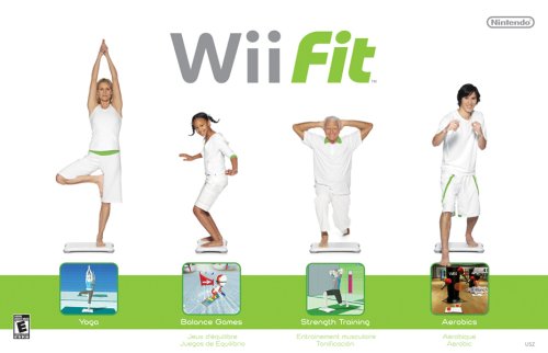 Wii Fit - WII (Used)