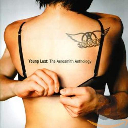 Aerosmith / Young Lust: The Aerosmith Anthology - CD (Used)