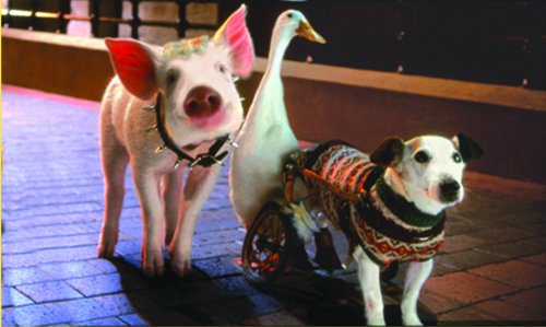 Babe: Pig in the City - Blu-Ray