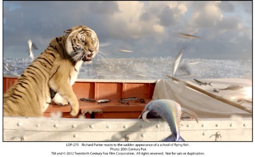 Life of Pi - DVD (Used)