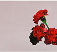Love In The(Dlx