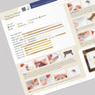 Miniature Nativity Quilling Kit