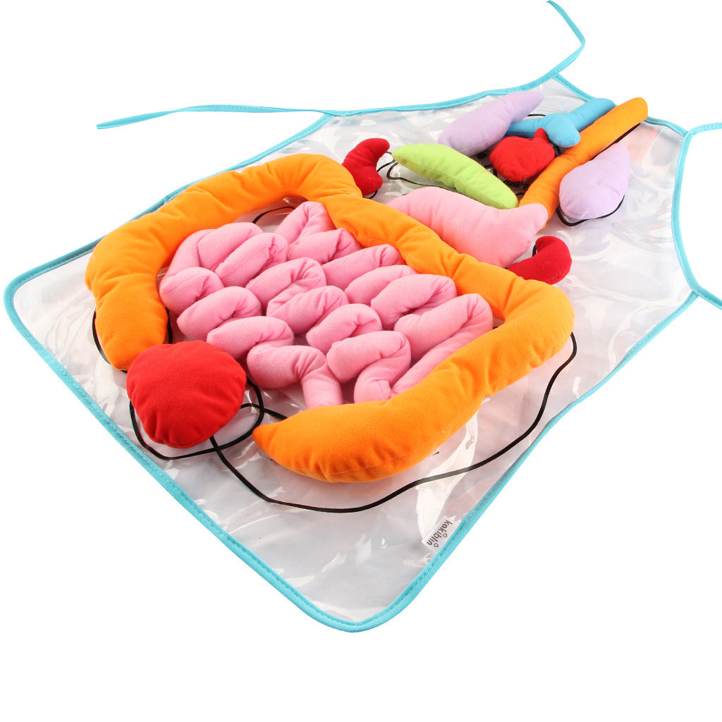 Kids Plush Anatomy Apron Toy | Learn Body Organs Canada USA