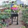 Rolling Mobile Raised Garden Bed Cart Planter Garden Bed Cart