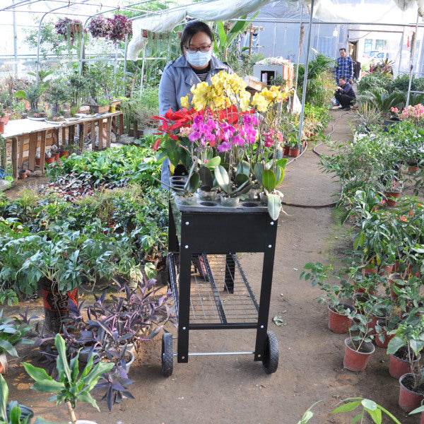 Rolling Mobile Raised Garden Bed Cart Planter Garden Bed Cart