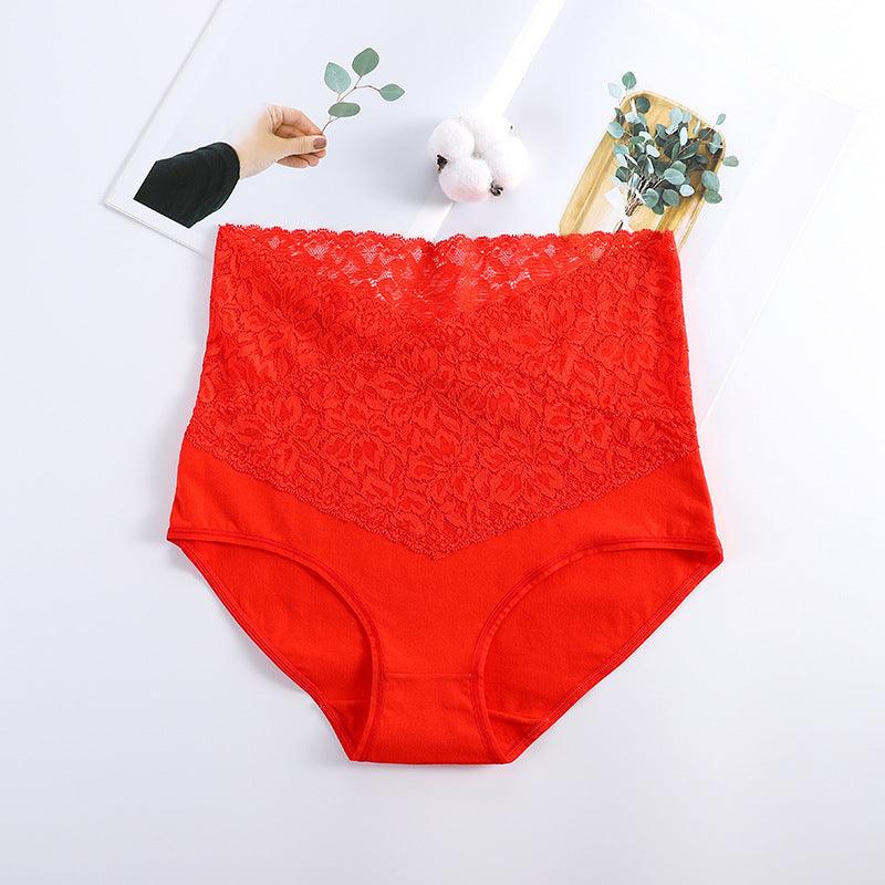 Women's Plus Size High-Waist Shaping Briefs Pant Seamless Belly Control