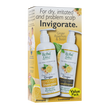 Herbal Glo - Ginger INVIGORATE Sham/Con VALUE PK (2pk)