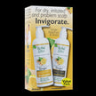Herbal Glo - Ginger INVIGORATE Sham/Con VALUE PK (2pk)