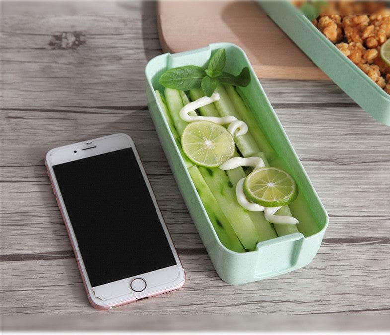 Microwave-Safe Multi Layer Lunch Box for Kids