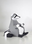 Raccoon
