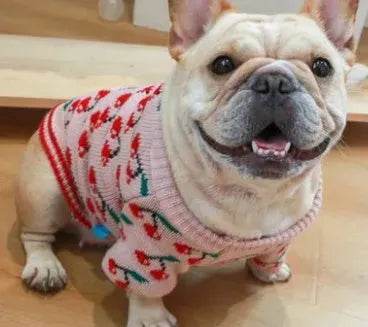 Christmas pet dog sweater
