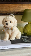 Puppy