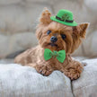 Saint Patrick’s Day Set – Festive Luxury Dog Accessory Set