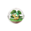 Pokemon Terrarium Collection 14 (1 Random Box) (Re-ment Blind Box)