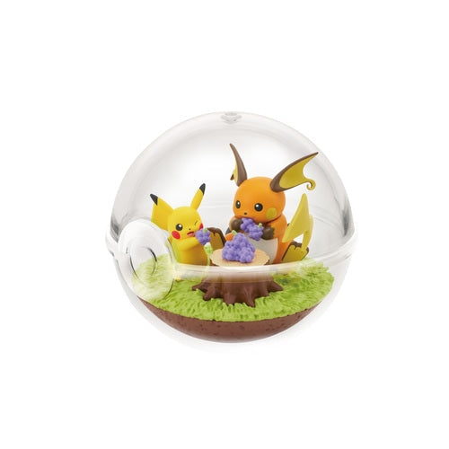 Pokemon Terrarium Collection 14 (1 Random Box) (Re-ment Blind Box)