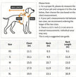 Ruby Dog Dress | Designer Pet Dress