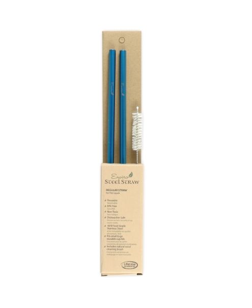 Enviro Glass Straws - Combo Reg. Stl Straw 10.5