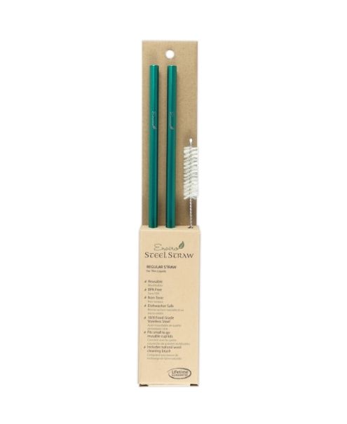 Enviro Glass Straws - Combo Reg. Stl Straw 10.5