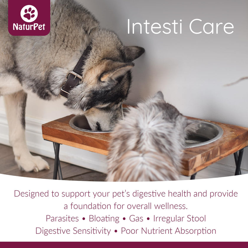 Naturpet - Intesti Care, 165g