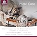 Naturpet - Intesti Care, 165g