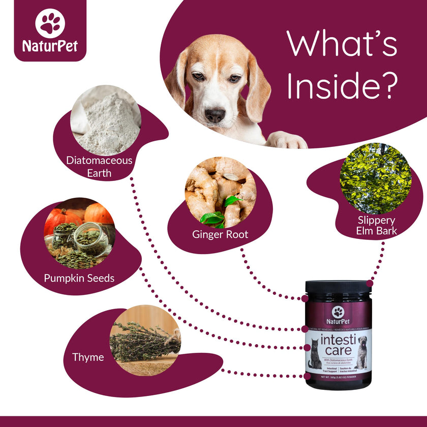 Naturpet - Intesti Care, 165g