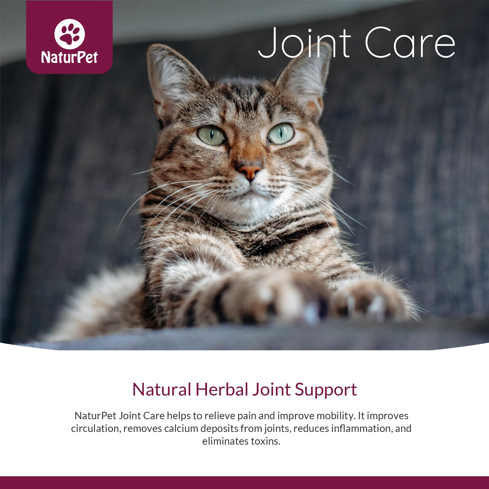 Naturpet - Joint Care, 100ml