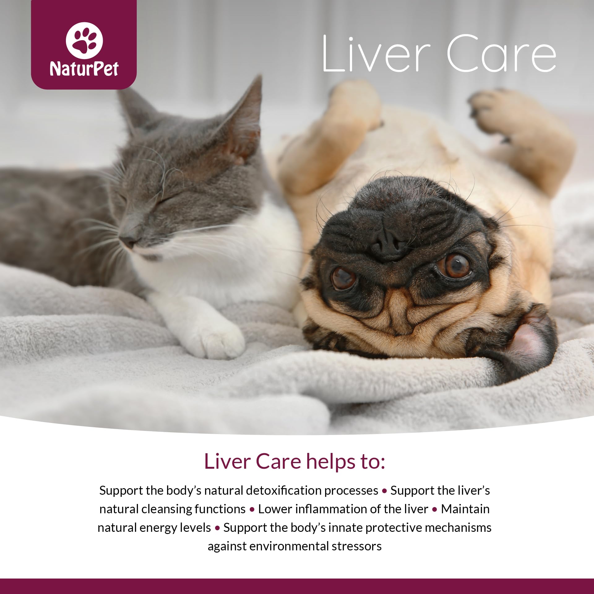 Naturpet - Liver Care, 100ml