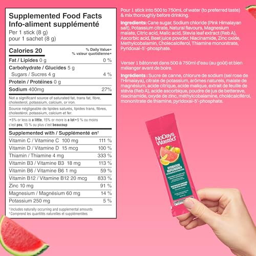 No Days Wasted - Watermelon Lemonade (15pk)