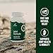 Sierrasil - Joint Formula14 Capsules (180s)