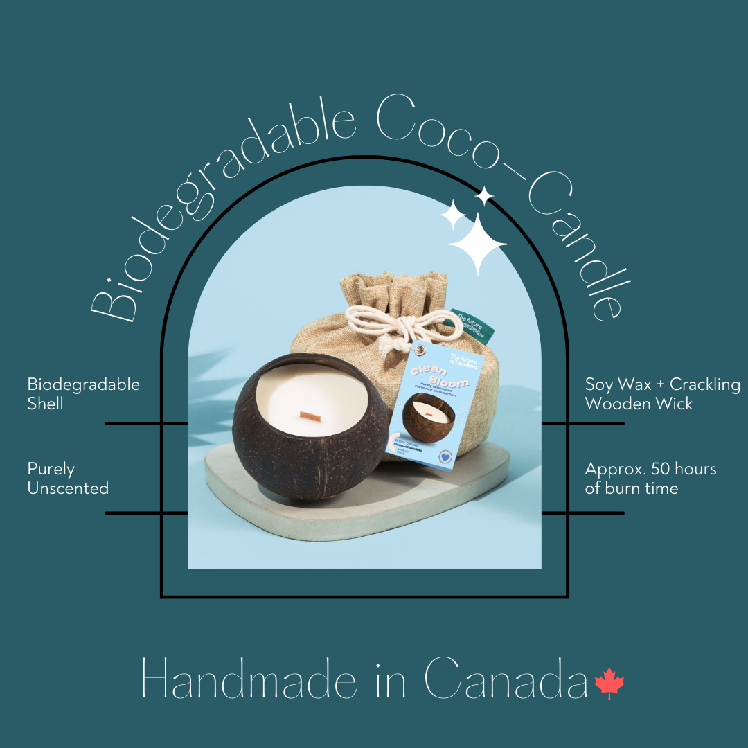 The Future Is Bamboo - Clean Bloom Coco Candle