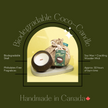 The Future Is Bamboo - Cozy Bloom Coco Candle